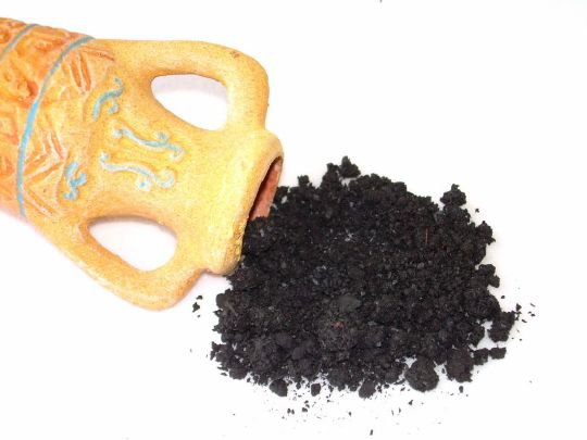 Storax, encens en grains