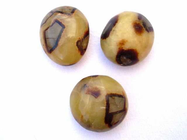 Galet Septaria