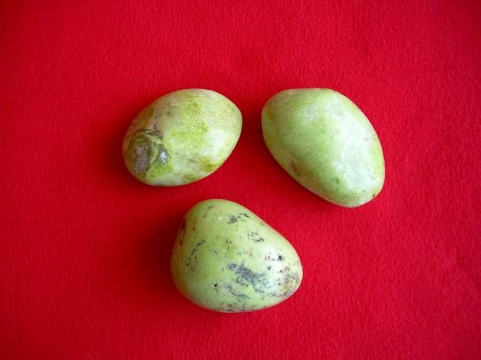 Galet Opale Verte