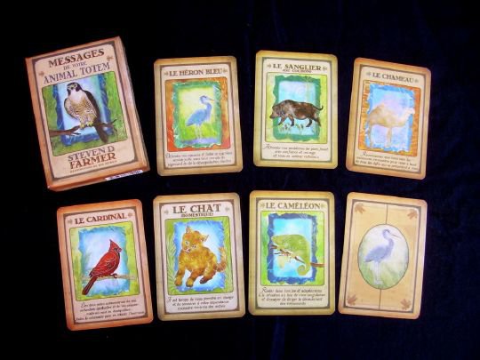 Messages De Votre Animal Totem