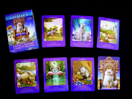 Le Tarot des Animaux
