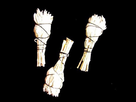 Sauge Blanche Bouquet