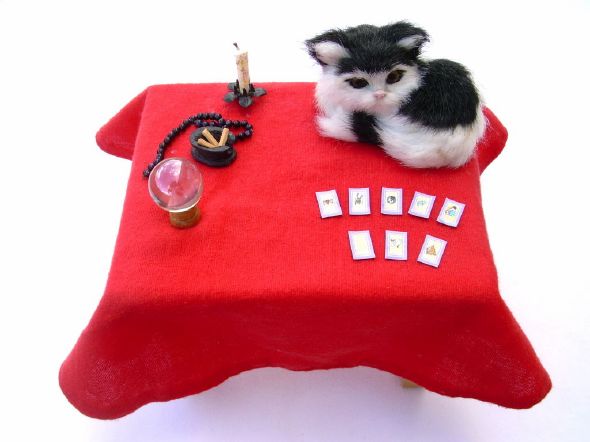 Miaou Miaou